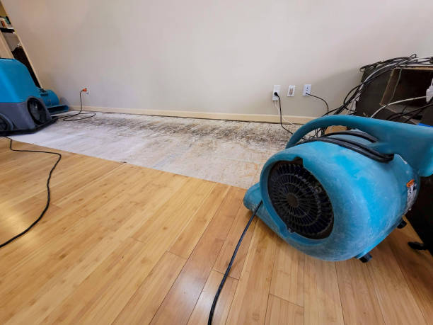 Professional Water Damage Repair technician working in Creston, CA